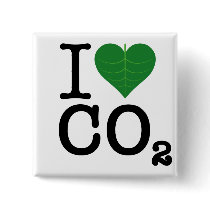I Heart CO2 Pins