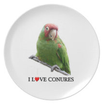 I "Heart" Conures Party Plate