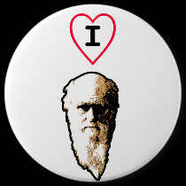I Heart Darwin buttons