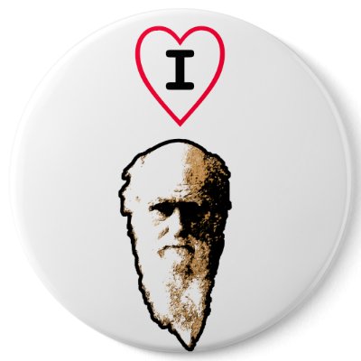 I Heart Darwin Button by webcarve
