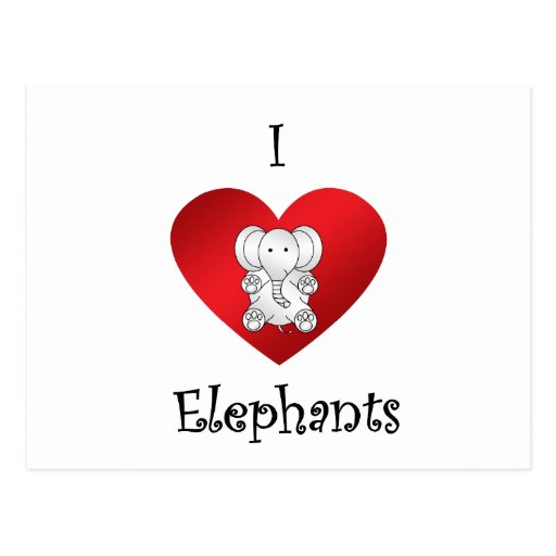 I heart elephants in white postcard
