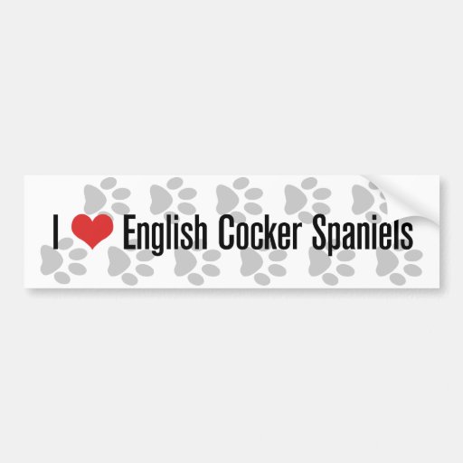 I (heart) English Cocker Spaniels Bumper Stickers