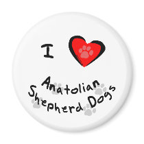 I Heart (Love) Anatolian Shepherd Dogs magnets