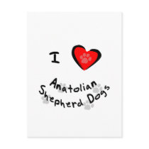 I Heart (Love) Anatolian Shepherd Dogs postcards