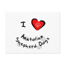I Heart (Love) Anatolian Shepherd Dogs postcards