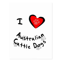 I Heart (Love) Australian Cattle Dogs Post Cards