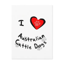 I Heart (Love) Australian Cattle Dogs postcards