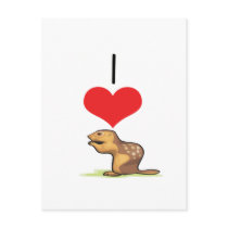 I Heart (Love) Chipmunks Postcard