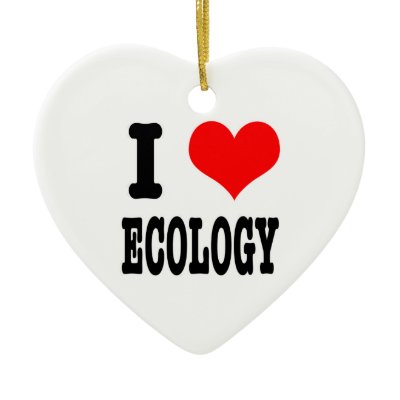 I HEART (LOVE) ecology Ornament Zazzle_ornament