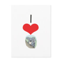 I Heart (Love) Koalas postcards