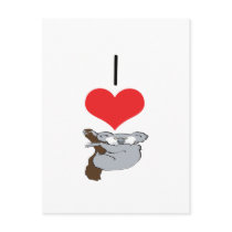 I Heart (Love) Koalas postcards