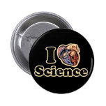 I Heart Love Science Anatomically Correct Pinback Buttons