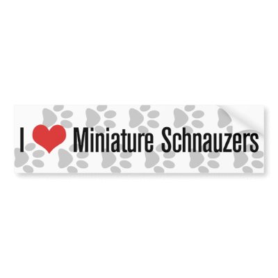I (heart) Miniature Schnauzers Bumper Sticker