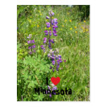 I Heart Minnesota Postcards