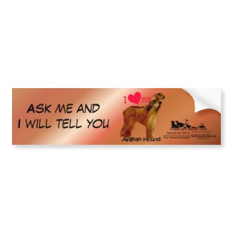 I heart my Afghan Hound Bumper Sticker