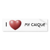 I heart my caique bumper stickers
