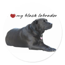 I "heart" my Labrador Retriever" words with photo Round Stickers