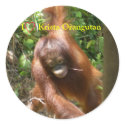 I Heart Orangutan stickers