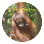 I Heart Orangutans Round Sticker