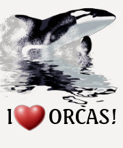 I HEART ORCAS 3/4 Sleeve Shirt