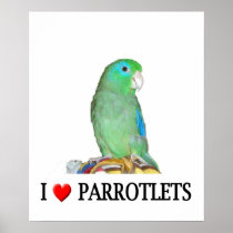 I "Heart" Parrotlets Poster