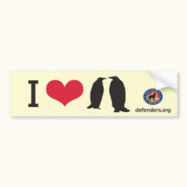 I Heart Penguins bumper stickers