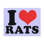 I Heart Rats Basic postcards