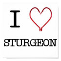 I [Heart] Sturgeon Poster posters