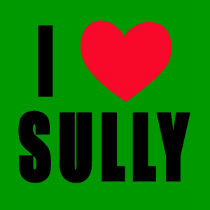 I Heart Sully t-shirts by greenbaby I Heart Sully t-shirts