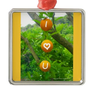 I Heart U Oranges Christmas Ornament