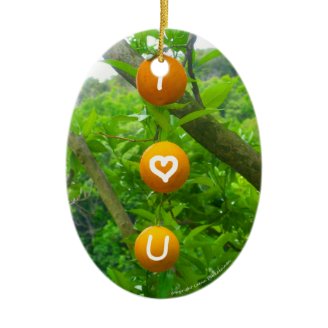 I Heart U Oranges Christmas Tree Ornaments