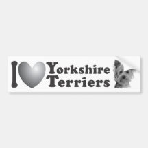 I Heart Yorkshire Terriers w/Image - Bumper Sticke Bumper Sticker