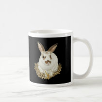 I HELPED SAVE CLEMENTINE! mugs