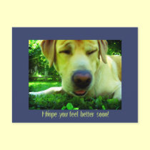 I hope you feel better soon! postcards