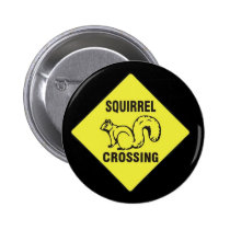 I icked a squirrel pin buttons