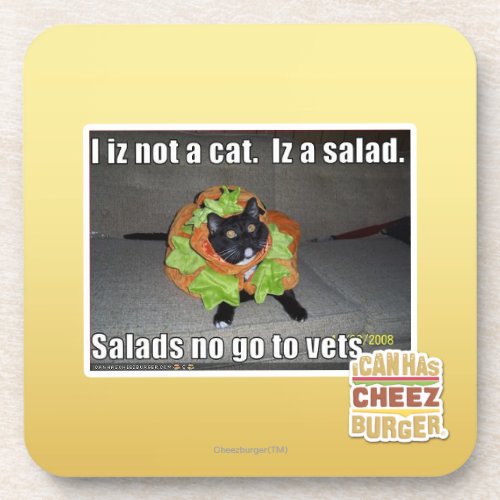 I iz not a cat. Iz a salad. corkcoaster