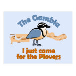 I Just Came for the Plovers Postcard