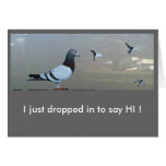 I just dropped in to say HI ! Greeting Card