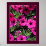 I Just Love Petunias Print