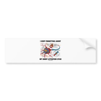 I Keep Forgetting About My Short Attention Span bumpersticker