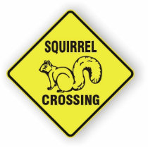 I kicked a squirrel sculpture photo sculptures by hahanasa I kicked a squirrel sculpture photo sculptures