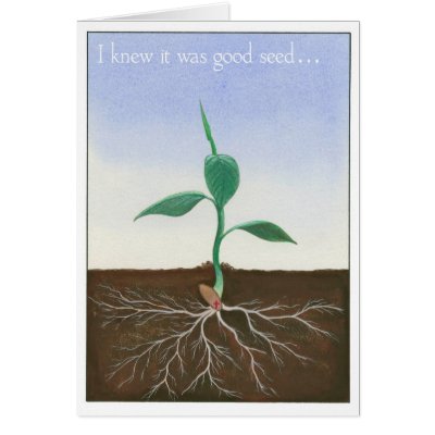 I Knew it Was Good Seed Card by Chakham