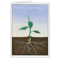 I Knew it Was Good Seed cards