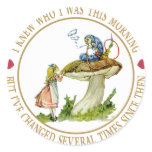 I knew who I was this morning, but I've changed Sticker