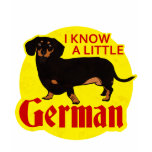 I Know A Little German