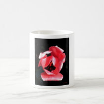 I Know Better Tulip mugs by StarLily I Know Better Tulip mugs