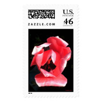 I Know Better Tulip postage