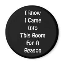 I Know I Came Into This Room Magnet