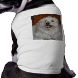 I KNOW I'M HANDSOME PET T-SHIRT