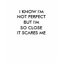 I KNOW I'M NOT PERFECT BUT IM SO CLOSE IT SCARY t-shirts by Mohegan I KNOW I'M NOT PERFECT BUT IM SO CLOSE IT SCARY t-shirts